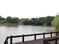 -梁鸿国家湿地公园