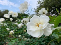 -人民公园(罗湖区)