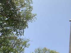 -江西科技师范大学(枫林校区)