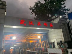 -武汉关码头(轮渡站)