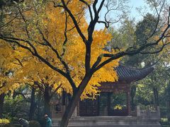 -汇龙潭