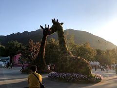 -西安秦岭野生动物园