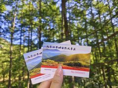 -白草畔自然风景区