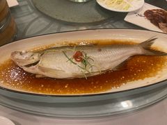 清蒸白水鱼-全聚德(上海首店浦东店)