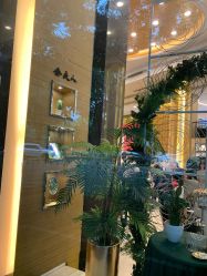 -金夫人婚纱摄影(华南店)