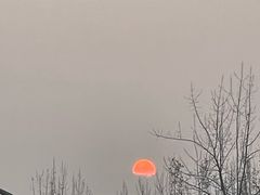 -白鹭湾湿地公园