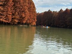 -上海海湾国家森林公园