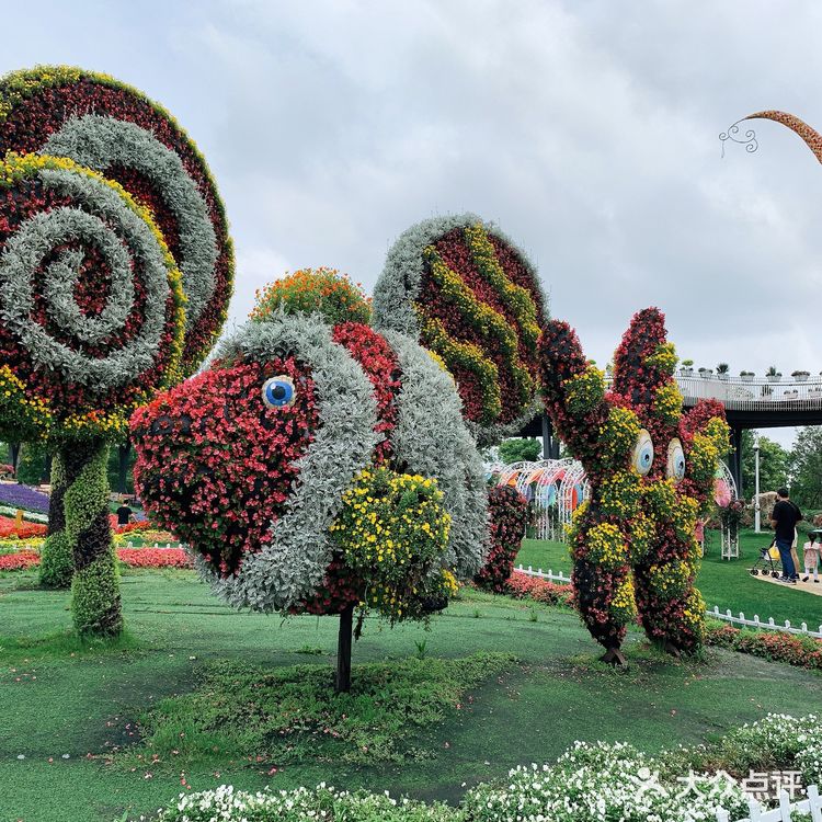 打卡奇迹花园，我老公说很山寨，主要就是城堡和花海