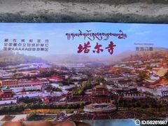 -塔尔寺