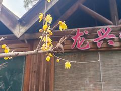 -天目湖山水园