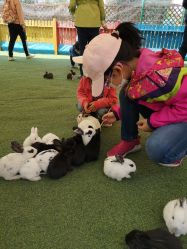 -萌宠亲子动物乐园(槐房万达店)