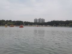 -黄兴公园