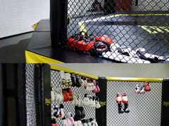 -FLARE STAR FITNESS(复地活力城店)