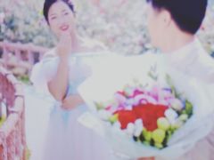 -百万葵园