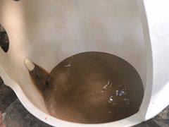 景点-100蛋泥浆浴