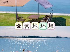 -栖露营camping·天幕烧烤·团建拓展·采摘营地