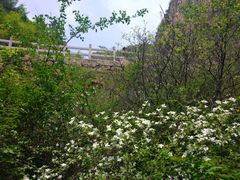 -山西通天峡景区