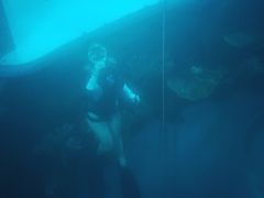 -苏州海洋馆