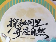 -同里国家湿地公园