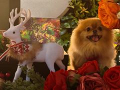 -MARU玛露音乐餐厅(大学路店)