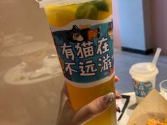 -猫儿山۰猫主题餐厅