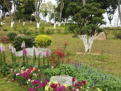 -东莞植物园