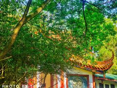 -富乐山