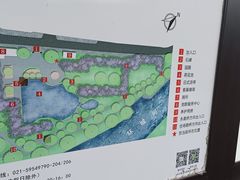 -嘉定紫藤园