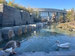 -河北霸州茗汤日月潭温泉