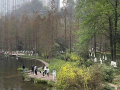 -重庆彩云湖湿地公园