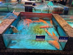 -拉完海鲜大排档(温岭店)