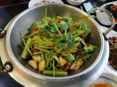 -云中小雅