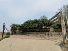 -北京张裕爱斐堡酒庄
