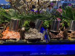 -海吃海喝海鲜烤肉炭火主题自助餐(朝阳店)