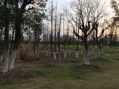 -瑶湖郊野森林公园