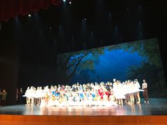 -北京大学百年讲堂