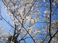 -绍兴镜湖国家城市湿地公园