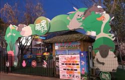 -萌宠亲子动物乐园(槐房万达店)