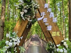 -黄海国家森林公园
