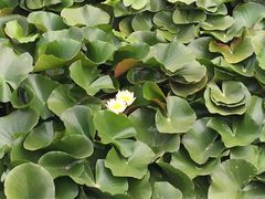 -中国海洋大学（崂山校区）-图书馆