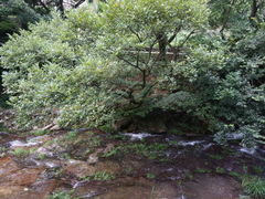 -雁荡山大龙湫景区