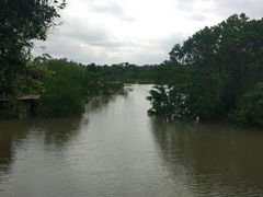 -东寨港红树林旅游区