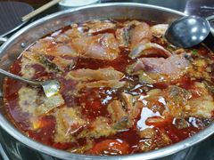 -韩妹鱼庄·泸定老字号(泸定店)