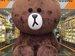 -line friends(明洞旗舰店)
