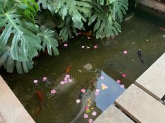 -兰纳泰式spa(古城店)