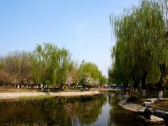 -丰台科技园生态主题公园