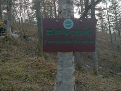 -凤凰山国家森林公园