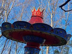 -上海共青森林公园