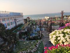 -绿光森林餐厅