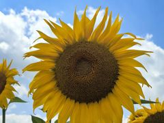 -汤城小厨•粤菜•靓汤(金融街店)